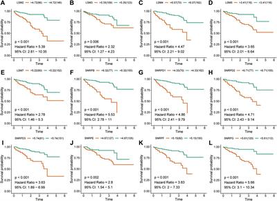 Determining the Prognostic Value of Spliceosome-Related Genes in Hepatocellular Carcinoma Patients